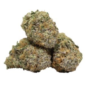 Purple Punch