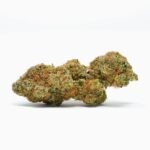 Harlequin GDP